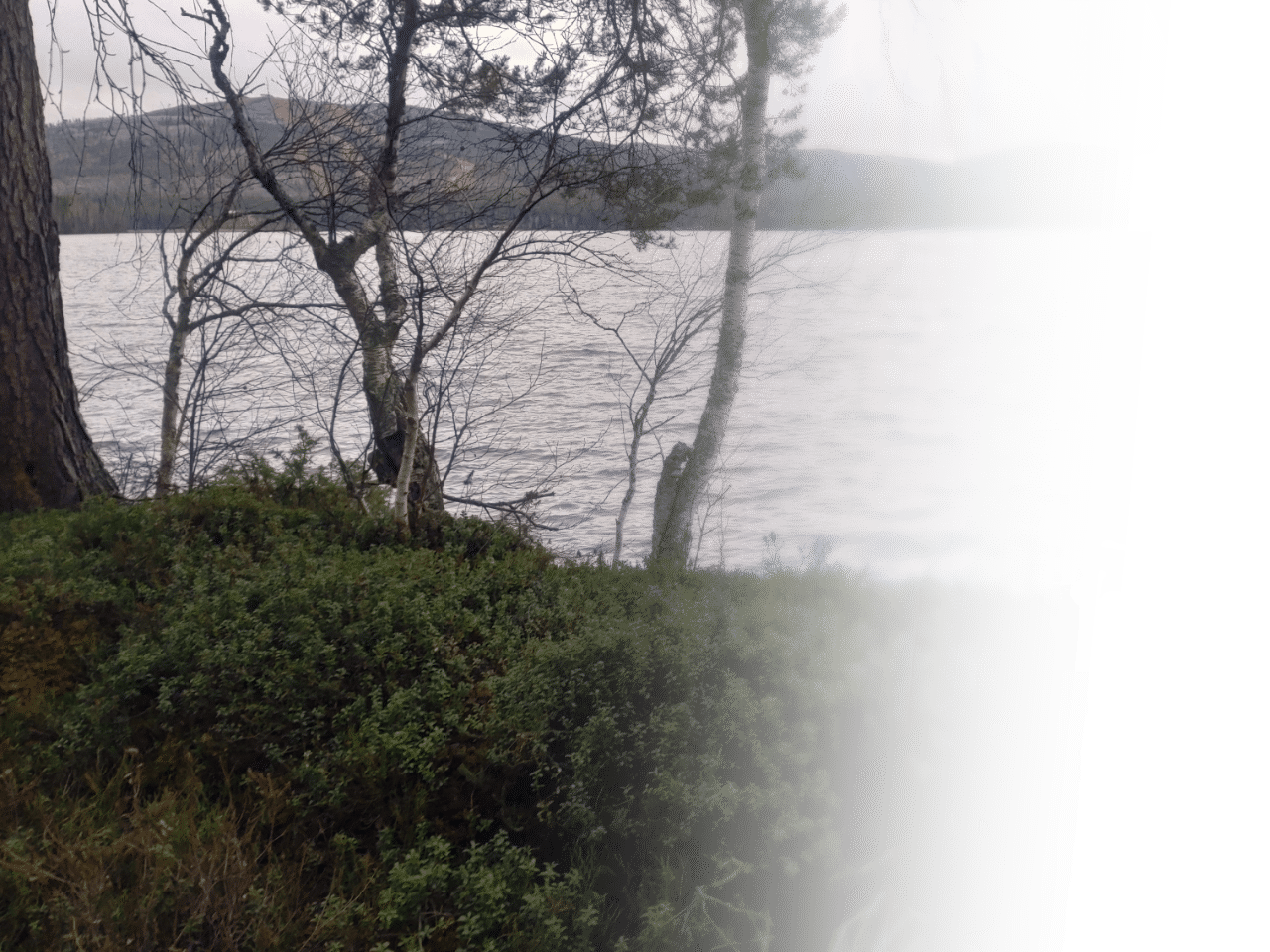 Pyhäjärven ranta Pyhätunturilla.