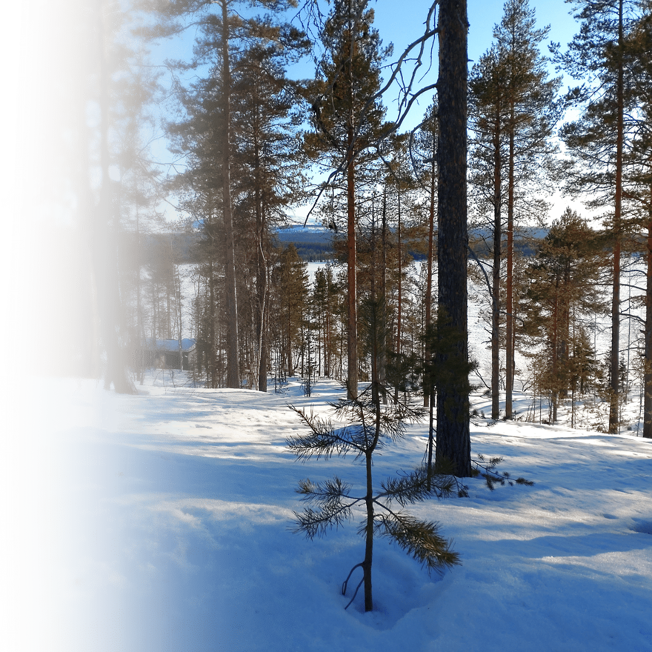 Näkymä etelään, Pyhätunturi ja Pyhäjärvi.