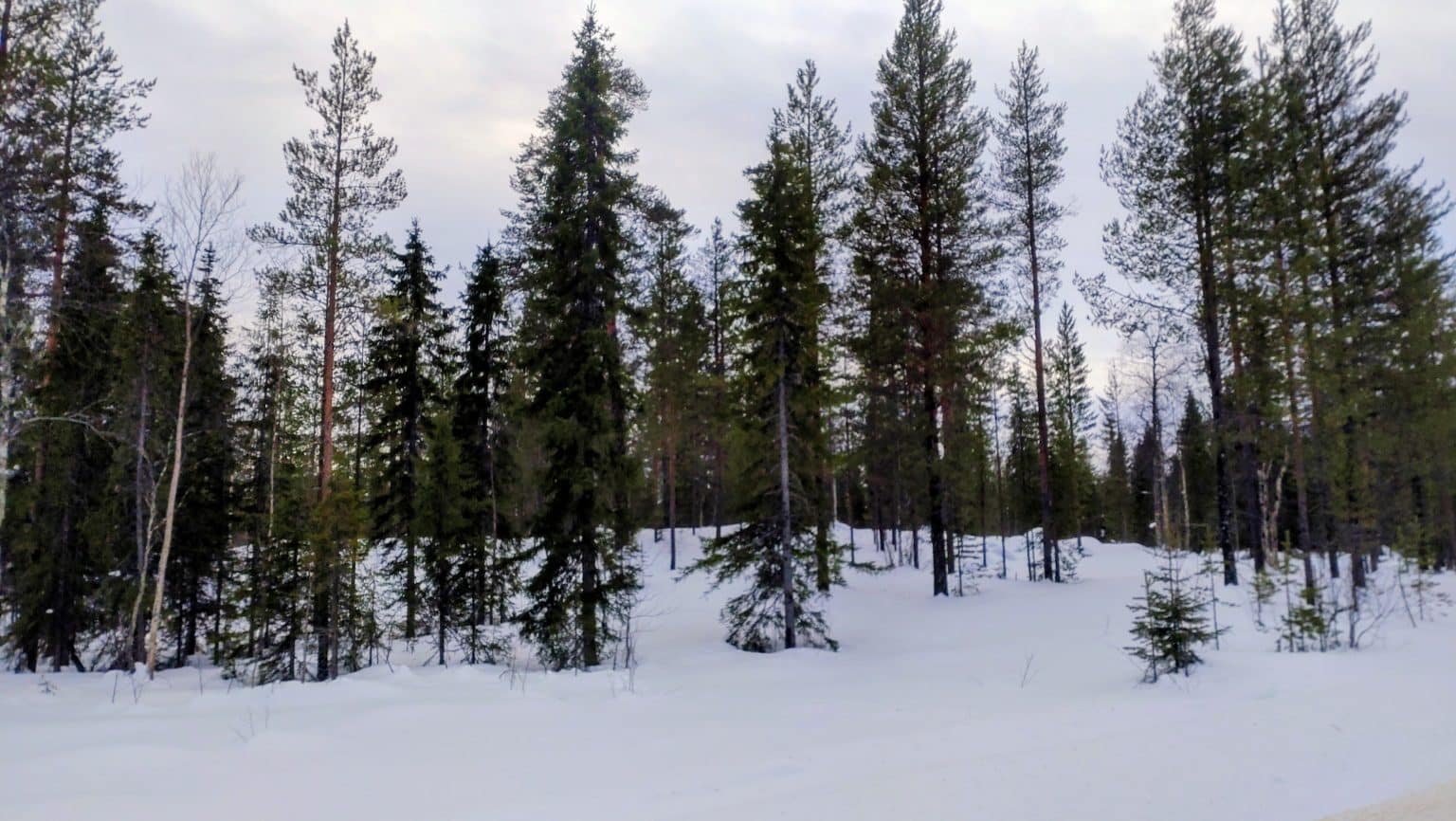 Kortteleittain myytävät1